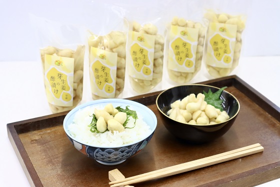 芽生姜の甘酢漬け　5パック