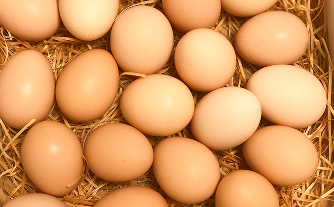 蝨滉ス舌ず繝ュ繝シ蜊オ縺ョ邀ウ邊峨ヵ繧」繝翫Φ繧キ繧ァシ茨シ募具シ