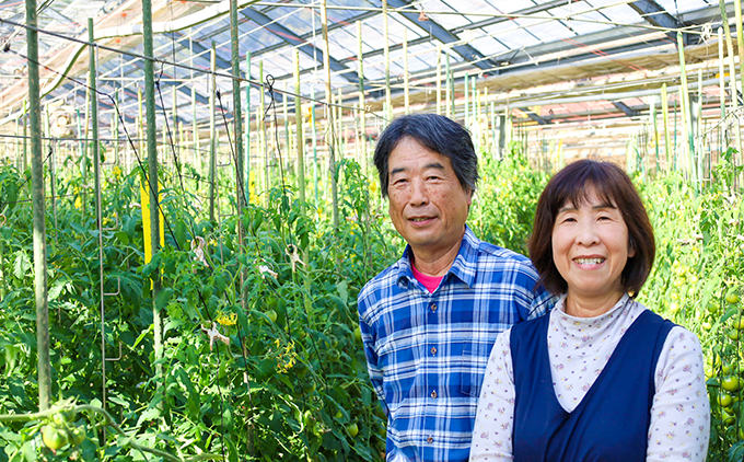 まっことうまい！水田さんのフルーツトマト【約２kg / 化粧箱入】