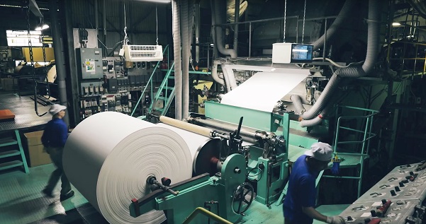 ãã€ã¬ããããŒããŒè©°ãåãã24ããã¯ã»ããïŒçœæªïŒãšã«ãã© / 96ããŒã«ïŒ