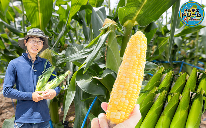 ãšããããã ãã«ãã§ããªãŒã 20æ¬