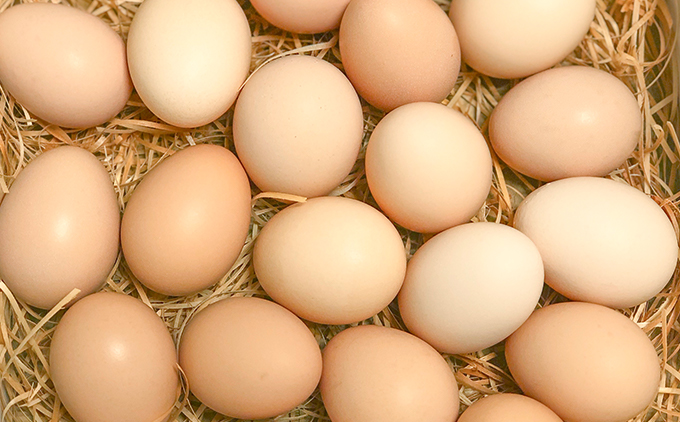 縲仙ョ壽悄萓ソ縲大悄菴舌ず繝ュ繝シ縺溘∪縺費シ12蛟句・シ嘉3蝗槭邏4騾ア髢捺ッ弱↓1蝗