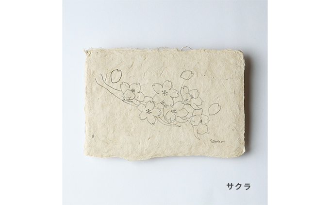 ãå¥è¯èãåäœåçŽã«ãŒãïŒæçŽå°çã»ããïŒãã¿ãã«ã« / ã¢ãœãŒãïŒçš®ïŒ