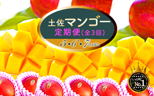 土佐マンゴー定期便【限定300セット】全3回