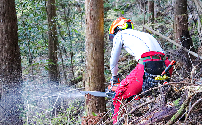 ãSDGsããã®çºãªãªãžãã«æšè£œãããïŒã³ãŒã¹ã¿ãŒïŒé¢šæ¯3çš®ïŒã»ãã