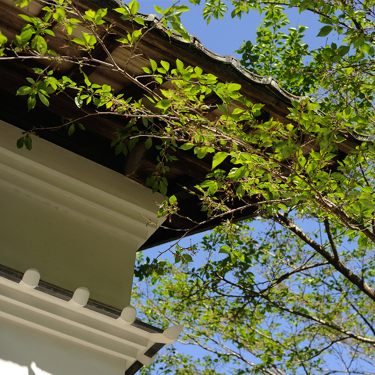 土佐和紙工芸村　くらうど　ペア宿泊券（一泊夕食朝食付）