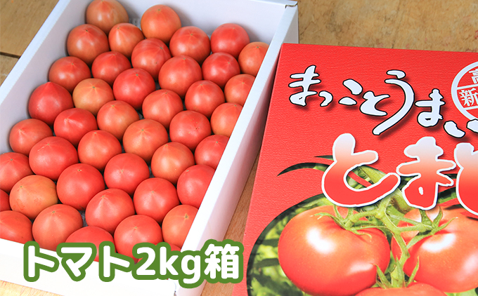まっことうまい！水田さんのフルーツトマト【約２kg×3箱 / 化粧箱入】