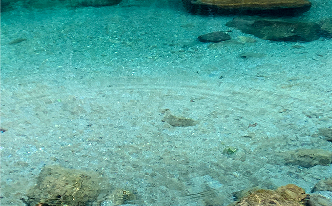 ãå¥è¯èããè£
ãåäœåçŽã ææŒãèçŽã€ã€ãªã³ã°ïŒè / ã·ã«ã¯ / ã¢ã¬ã«ã®ãŒå¯Ÿå¿ïŒ