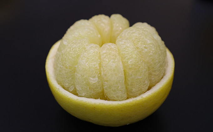 土佐文旦　家庭用2kg（池上果樹園）