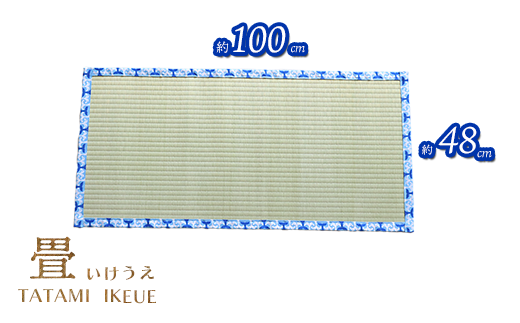 ç³ãããããã©ãããïŒåäœã®ææ©æïŒ