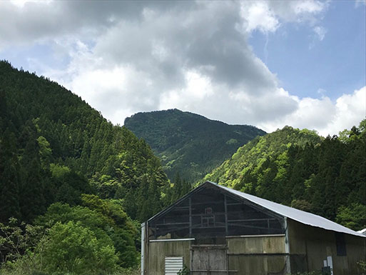 繝倥Ν繧キ繝シ縺ァ譌ィ縺ソ縺溘▲縺キ繧奇シ∵悽蟾晄焔邂ア縺阪§繧ウ繝ュ繝繧アシ茨シ托シ仙具シ