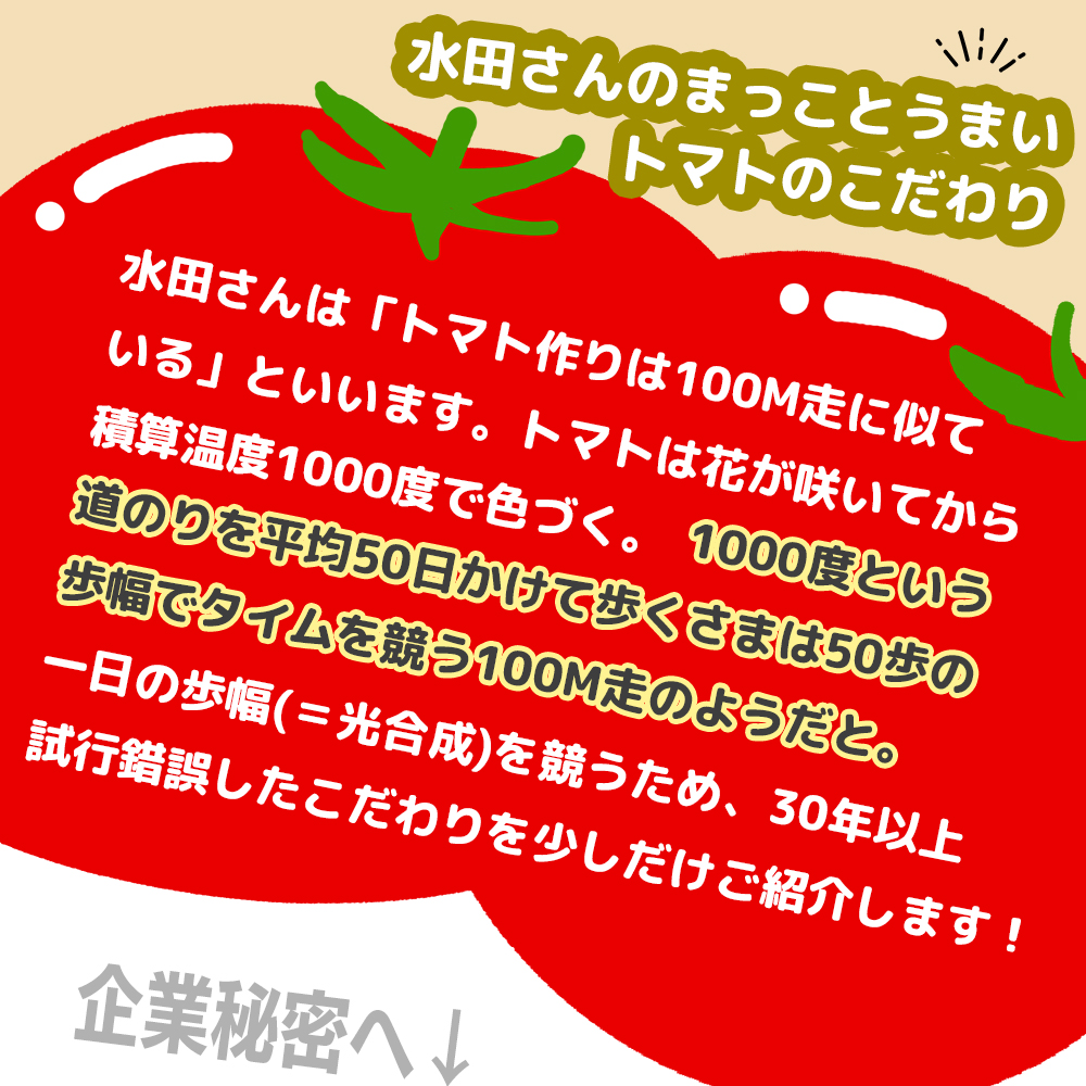 ãŸã£ããšããŸãïŒæ°Žç°ããã®ãã«ãŒãããããçŽïŒkgÃ2ç®± / åç²§ç®±å
¥ã