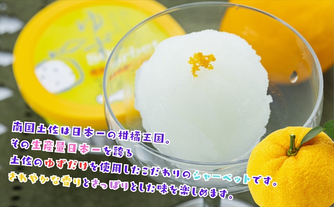 Made in 土佐★ゆずシャーベット6個（高知アイス）