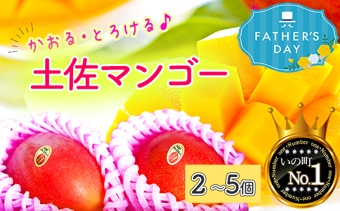 【父の日にお届け】かおる・とろける！土佐マンゴー(2〜5個)　