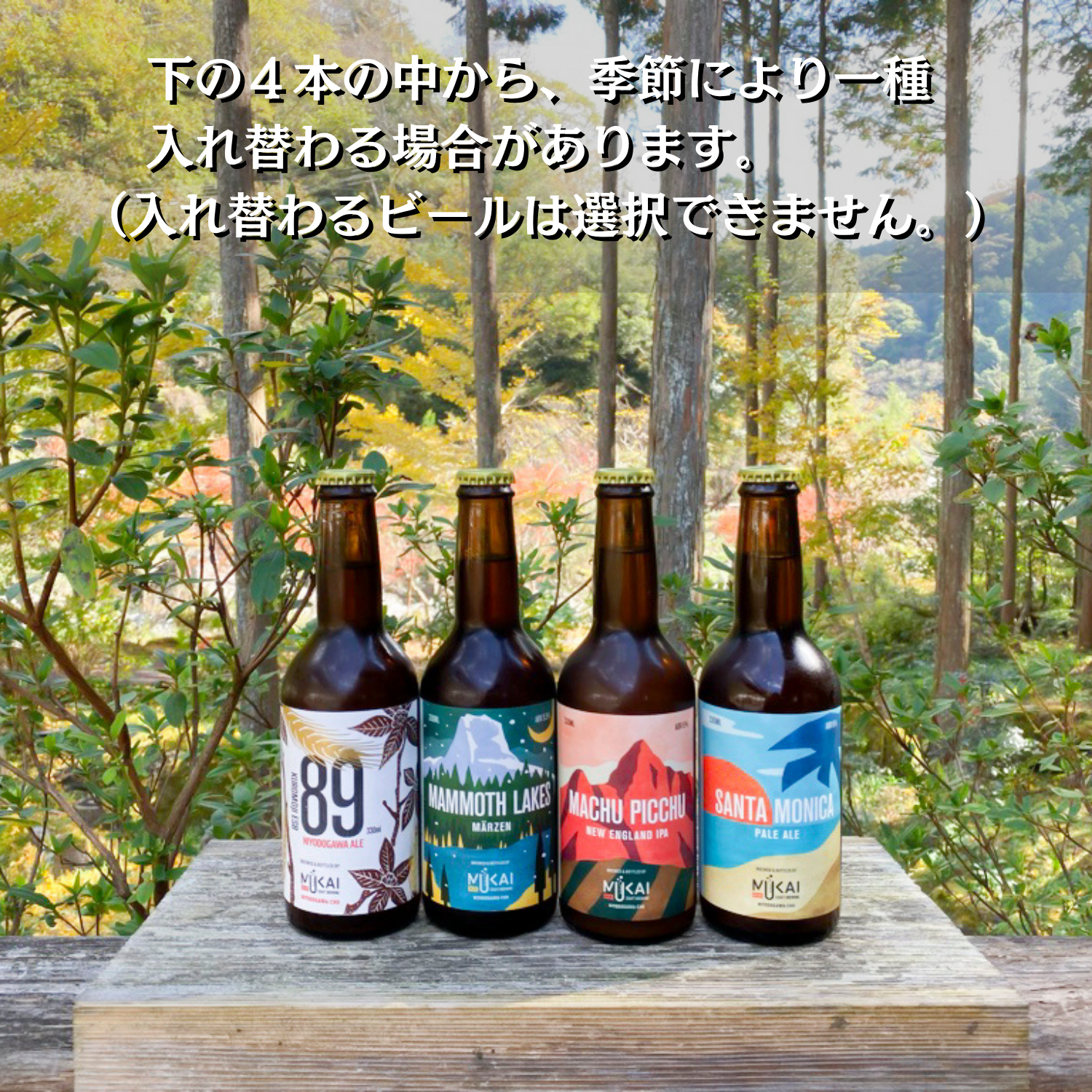 0123102 奇跡の清流 仁淀川 天然水仕込みのクラフトビール （３種セット）