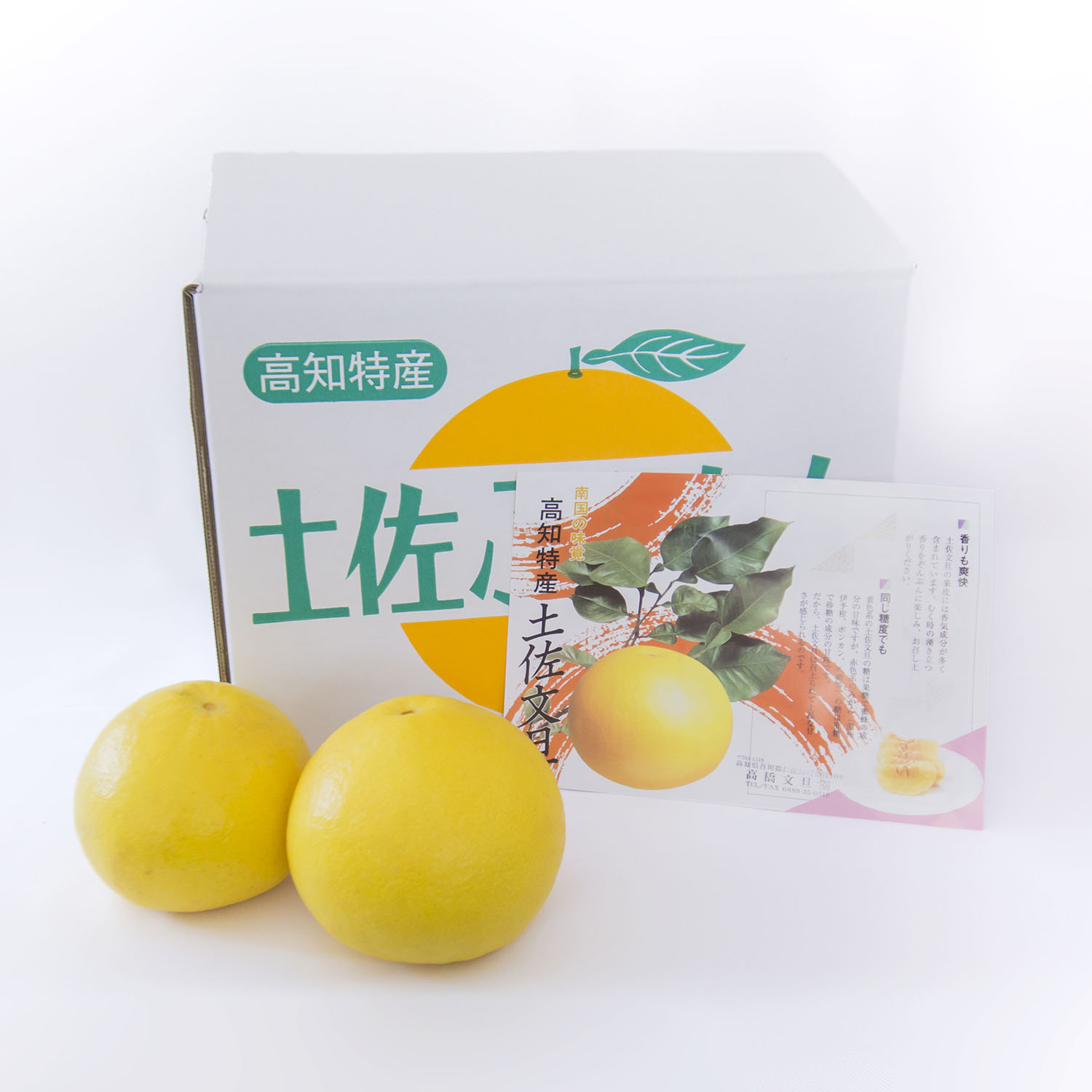 0121601 早春の味わい　つやつやに輝く土佐文旦 （大小混合約20玉／10kg１箱） ※令和8年３月下旬頃より発送開始