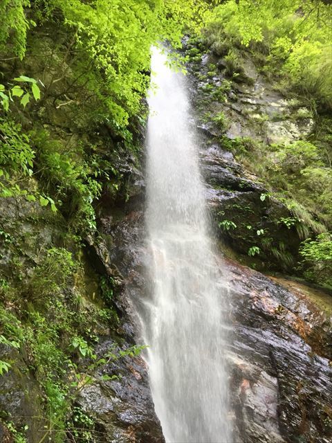 0710702 宝来荘　ペア宿泊１泊２食付き お部屋タイプ：バンガロー