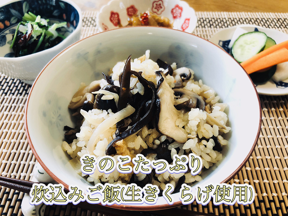 0092205 「生」黒きくらげ ５００ｇ（高知県仁淀川町産）