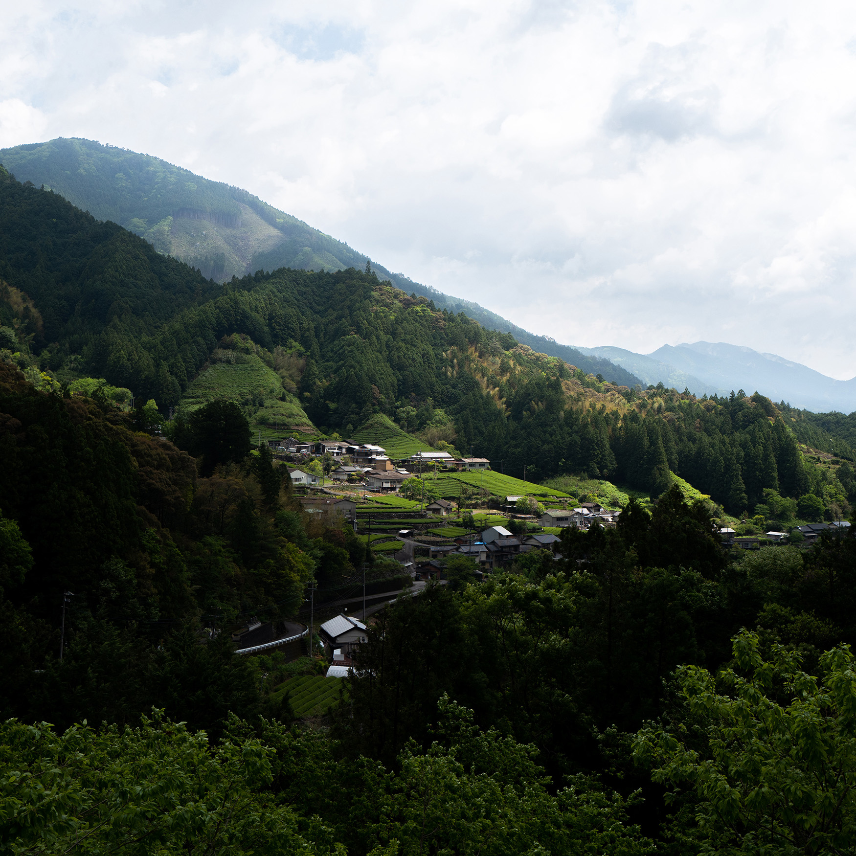 0062001 によどヒノキウォーター （100mlスプレー）１本