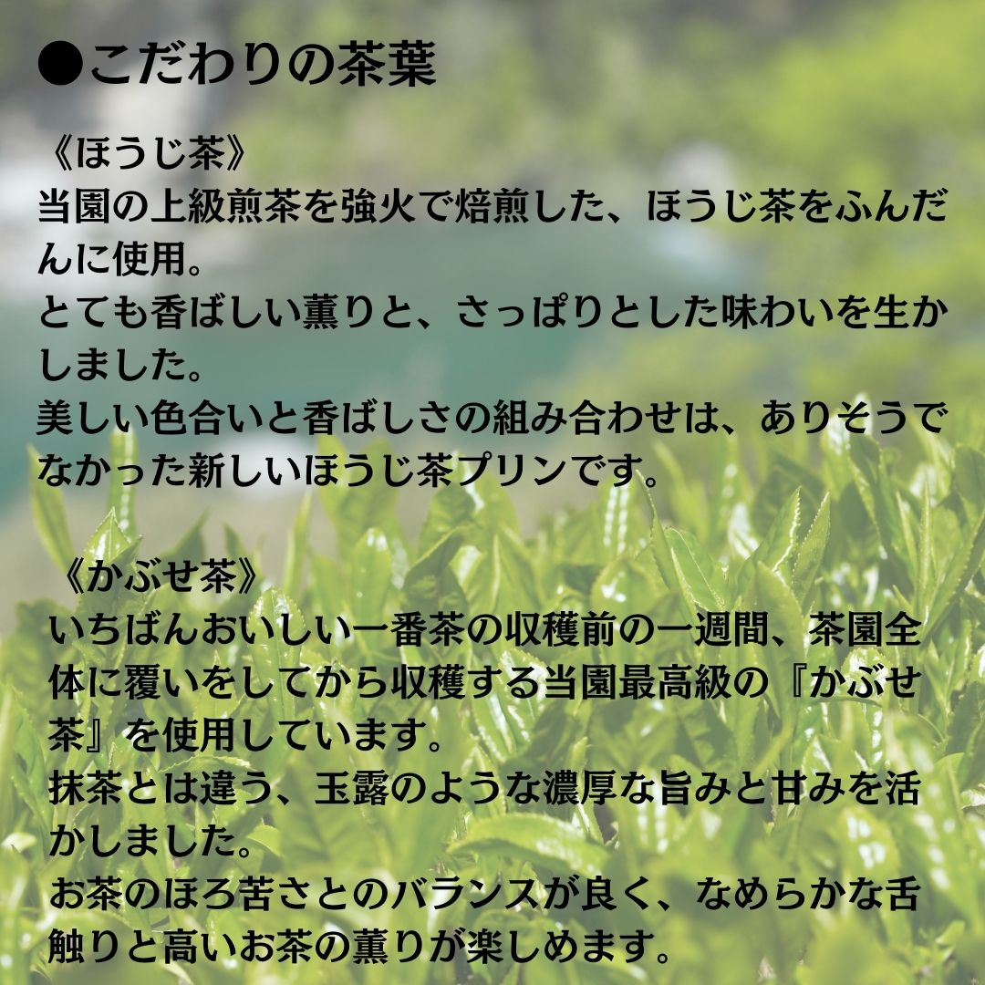 0110401 プレミアム茶畑プリン ２種 （かぶせ茶３個　ほうじ茶３個）