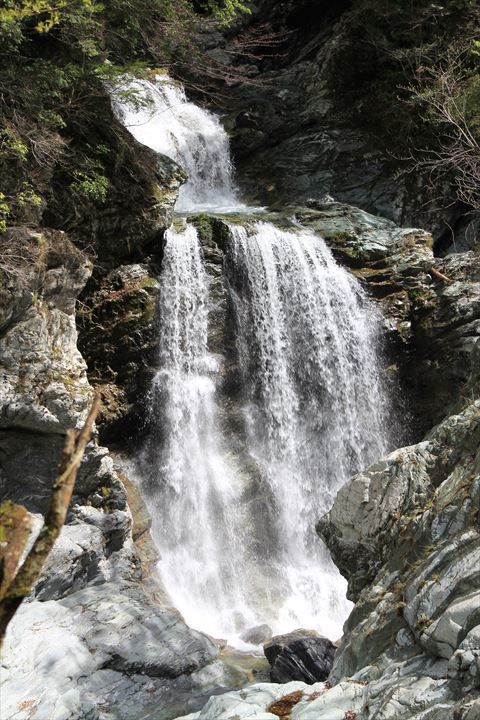 0710702 宝来荘　ペア宿泊１泊２食付き お部屋タイプ：バンガロー