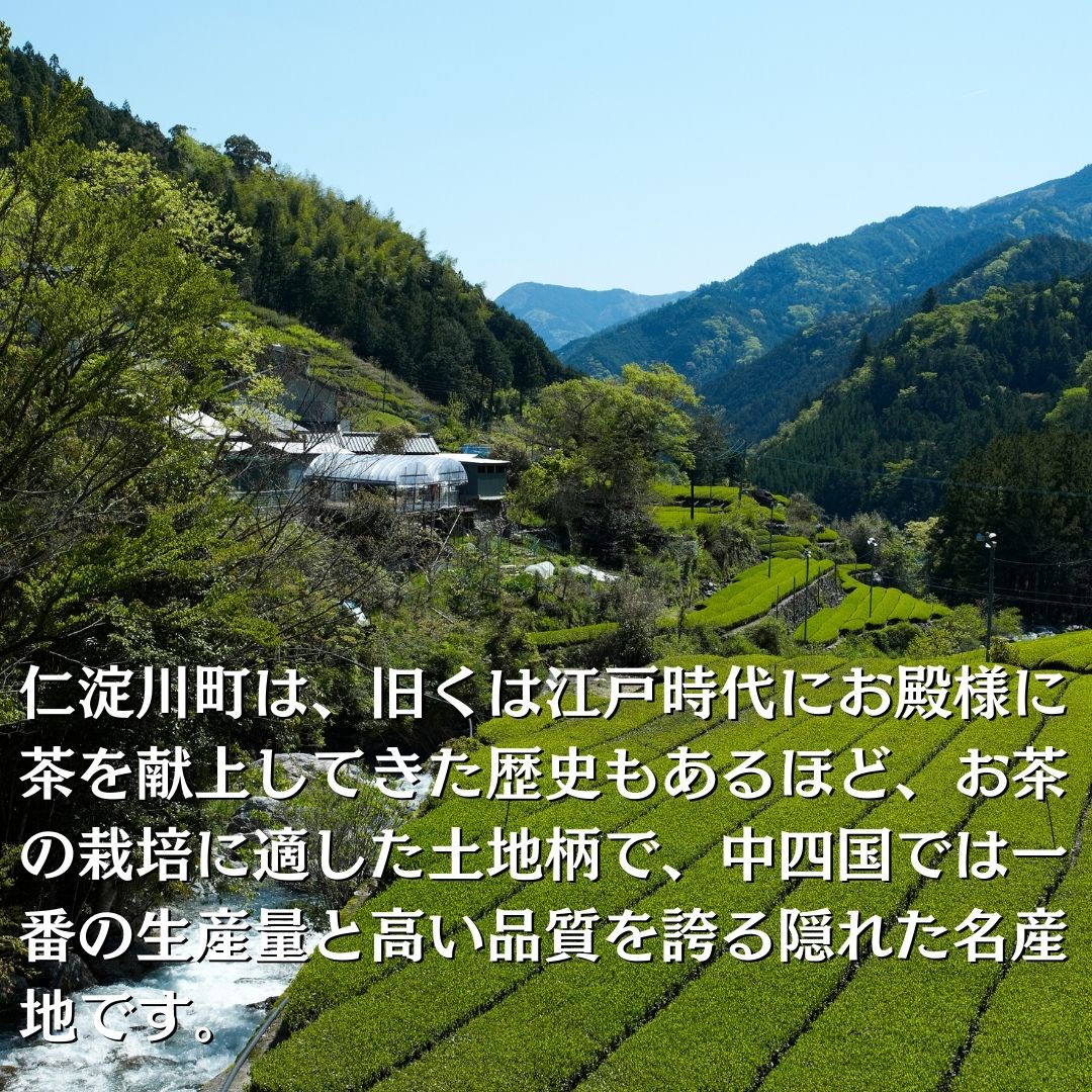 0110401 プレミアム茶畑プリン ２種 （かぶせ茶３個　ほうじ茶３個）