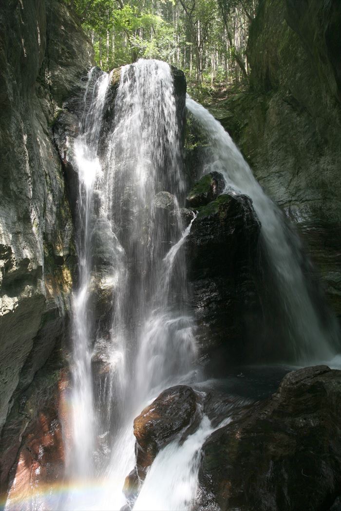 中津渓谷 ゆの森 本館和室 ペア１泊２食付き宿泊プラン