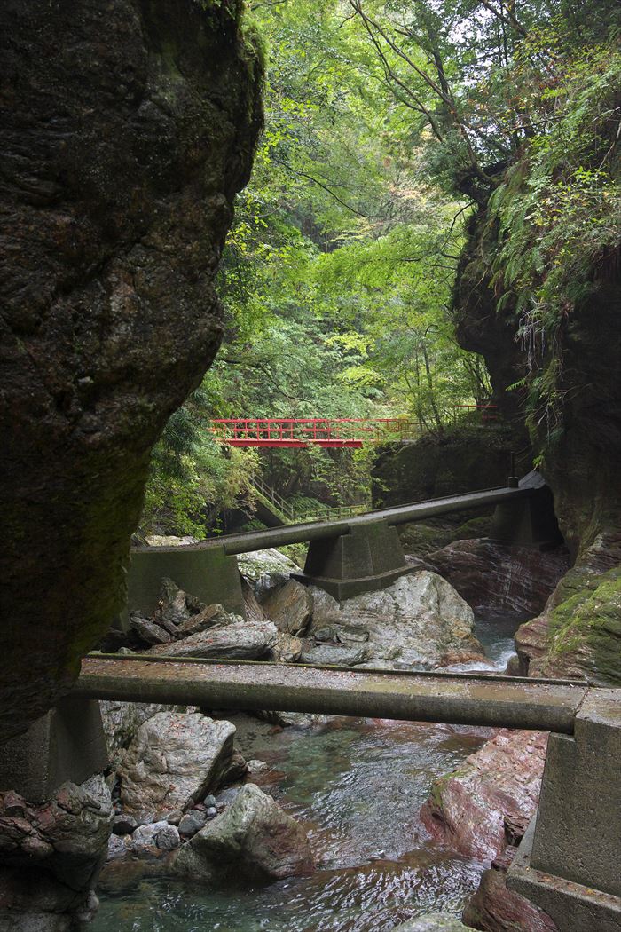 中津渓谷 ゆの森 本館和室 ペア１泊２食付き宿泊プラン