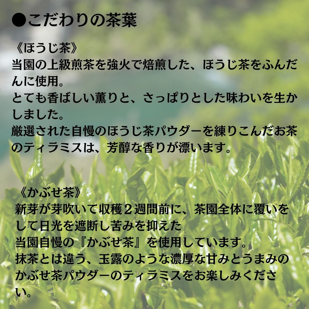 茶畑ティラミス ２種２４個セット （かぶせ茶１２個　ほうじ茶１２個）