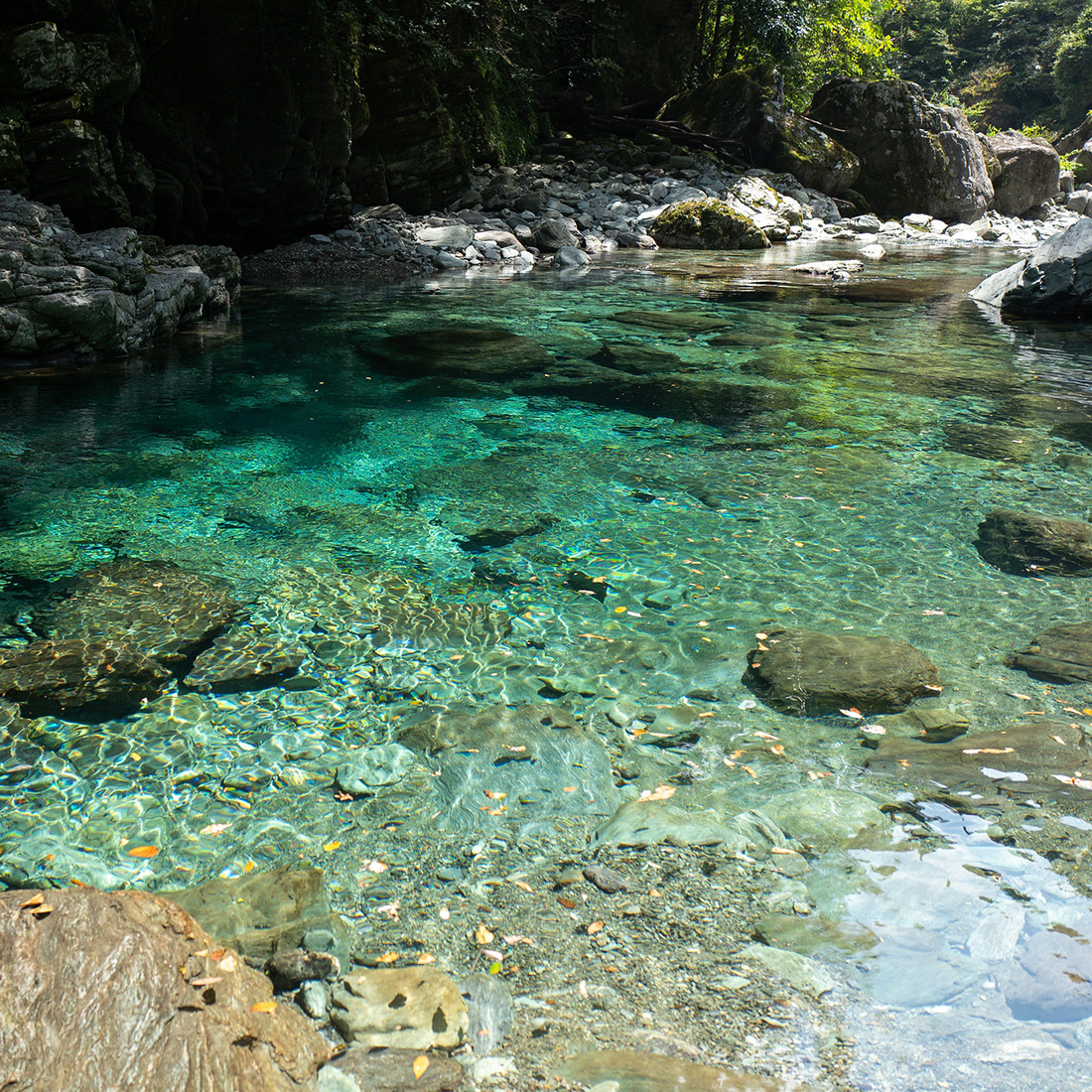 0062001 によどヒノキウォーター （100mlスプレー）１本