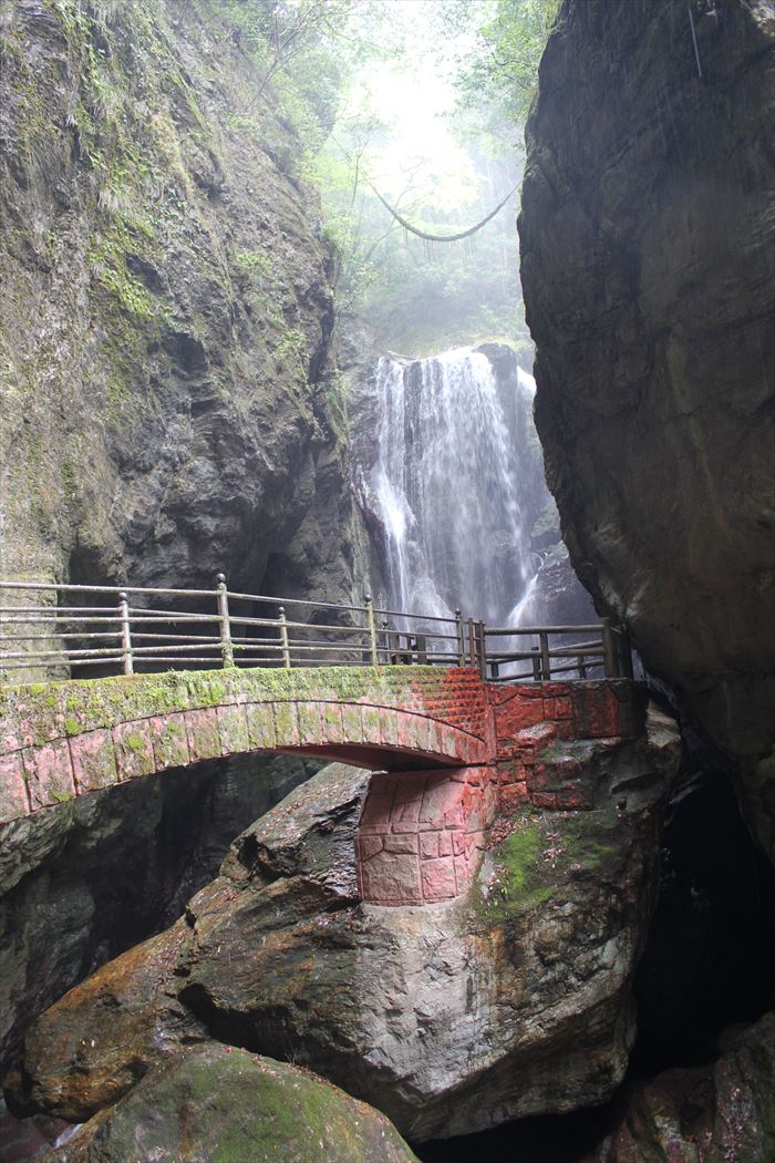 中津渓谷 ゆの森 本館和室 ペア１泊２食付き宿泊プラン