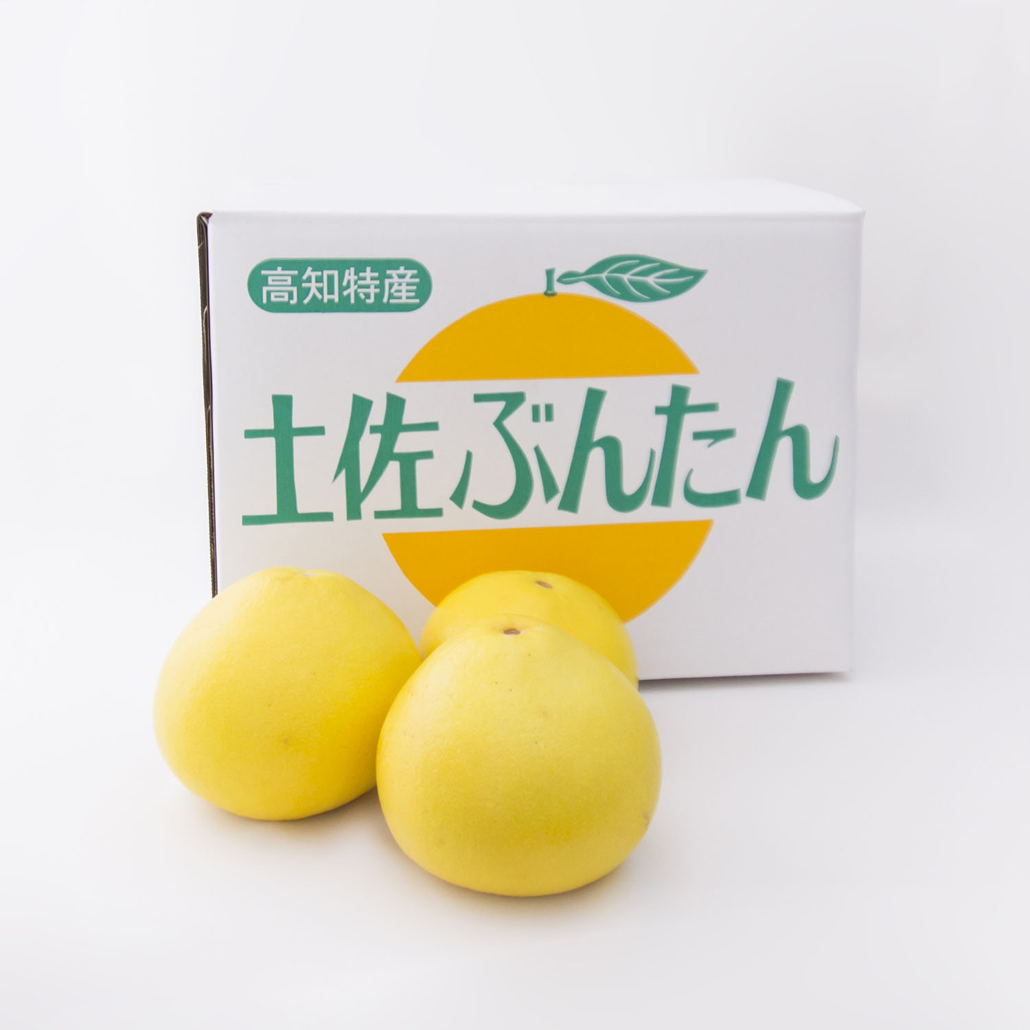 0122901 清流仁淀川の側で育てた片岡園芸の土佐文旦 ※令和8年３月下旬頃より発送開始