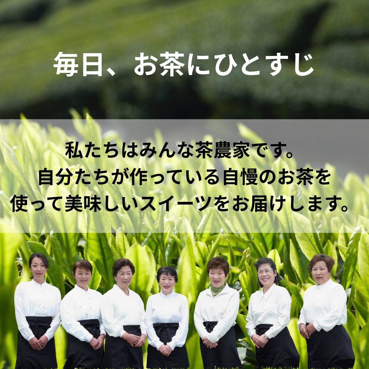 0210403 繝励Ξ繝溘い繝闌カ逡代励Μ繝ウ シ堤ィョ シ医°縺カ縺幄幻シ門九縺サ縺縺倩幻シ門具シ