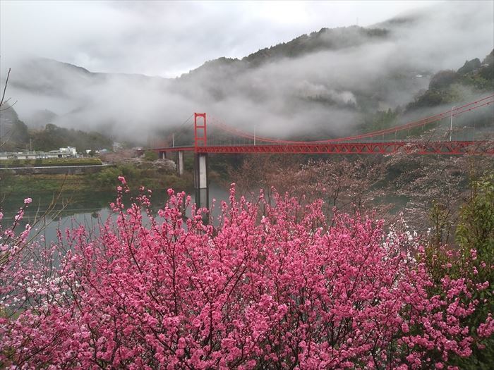 遘玖痩縺ョ螳ソ縲縺イ縺ィ繧頑羅シ第ウ奇シ帝」滉サ倥″繝励Λ繝ウ