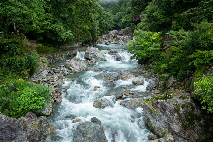 äžæŽ¥æžè°·ããã®æ£® ã³ããŒãž ãã¢ïŒæ³ïŒé£ä»ã宿æ³ãã©ã³