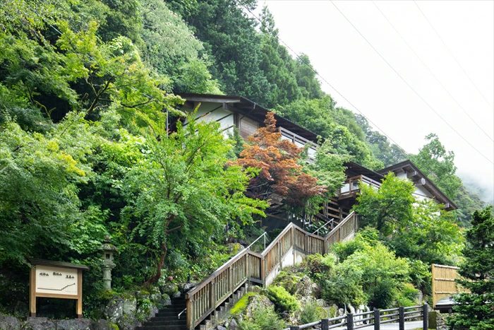 äžæŽ¥æžè°·ããã®æ£® ã³ããŒãž ãã¢ïŒæ³ïŒé£ä»ã宿æ³ãã©ã³