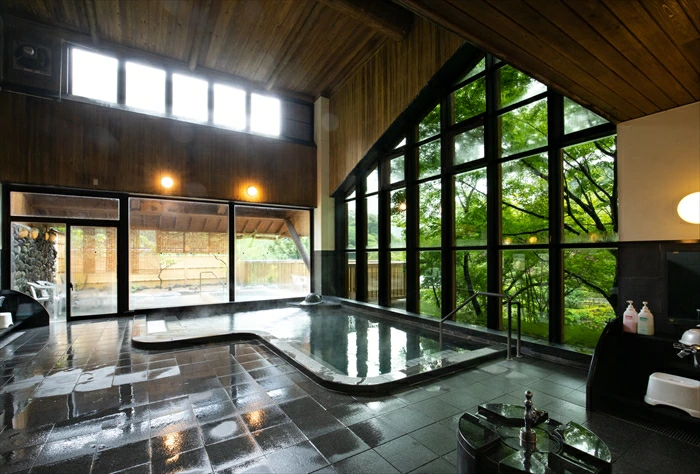 äžæŽ¥æžè°·ããã®æ£® ã³ããŒãž ãã¢ïŒæ³ïŒé£ä»ã宿æ³ãã©ã³