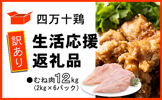 【訳あり】四万十鶏 むね肉 12kg （生活応援返礼品）