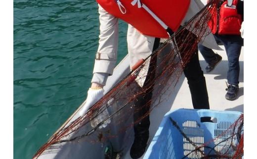 荳翫ヮ蜉豎滓シ∵クッ縺ョ貍∵・ュ菴馴ィ難シ医壹い繝√こ繝繝茨シ峨°縺疲シ 邯イ貍 蜥瑚飴菴馴ィ 譏シ鬟滉サ