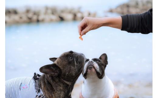 漁師町の一本釣り イヌジャーキー [大] 30g 2袋セット 犬用おやつ
