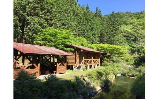 縲 螟ァ閾ェ辟カ縺ァ豺ア蜻シ蜷ク 縲 蝗帑ク蜊∵コ先オ√ョ驥 螳ソ豕雁虻 ( 6蜷咲畑 繝舌Φ繧ャ繝ュ繝シ 1譽溯イク ) 鬮倡衍 蝗帑ク蜊 貅先オ 螳ソ豕 隕ウ蜈 閾ェ辟カ 繝√こ繝繝 譌陦悟虻