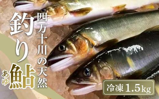 四万十川上流の天然鮎 釣り鮎 1.5kg ( 冷凍 6〜22尾 ) 鮎 あゆ アユ 川魚 高知県 四万十 天然 冷凍