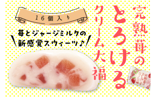 完熟苺のとろける クリーム 大福 ( 16個入り ) 大福 いちご イチゴ クリーム お菓子 甘い とろける スイーツ