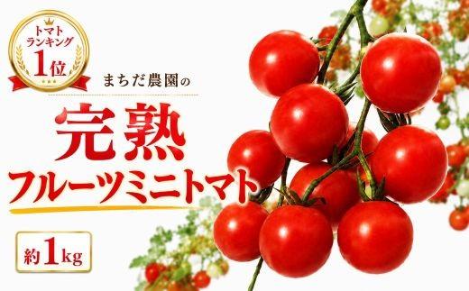 トマト フルーツミニトマト 1kg 先行予約 数量限定 期間限定 完熟 トマト 新鮮 甘い 旬 野菜 1キロ 採れたて フレッシュ 産地直送 甘いトマト サラダ スープ や パスタ に 野菜 とまと 箱買い お取り寄せ 贈答用 ギフト 中土佐町 プレゼント 高知県