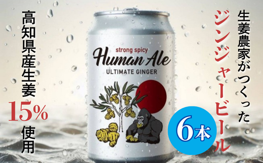 ãžã³ãžã£ãŒããŒã« 6æ¬ ã»ãã 350ml å°ããŒã« ããŒã« ã³ãŒã ãé
ãã çå§ ãããã ãžã³ãžã£ãŒ BBQ å€ æ©é
å®¶èšå¿æŽ ãããã äººæ° é«ç¥ç äžåäœçº 猶ããŒã« éžé çŽé ã¢ã«ã³ãŒã« beer Beer 猶 ç¶ ãæ¥œãã¿ ç¹ç£å ãåç£ ãã¬ãŒã³ã iååäŒç€Ÿ