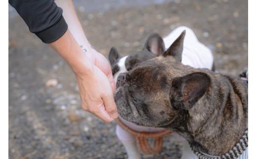 漁師町の一本釣り イヌジャーキー [小] 15g 3袋セット 犬用おやつ