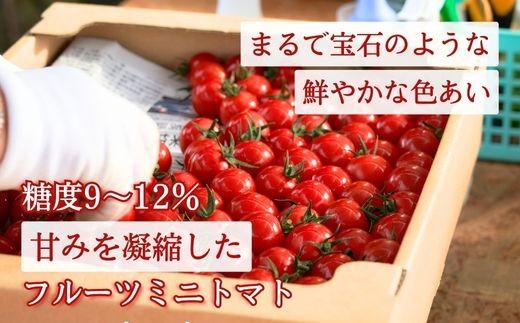 ããã ãã«ãŒãããããã 2kg å
è¡äºçŽ æ°ééå® æééå® å®ç ããã æ°é®® çã æ¬ éè 2ãã æ¡ãã㊠ãã¬ãã·ã¥ ç£å°çŽé çãããã ãµã©ã ã¹ãŒã ã ãã¹ã¿ ã« éè ãšãŸãš 箱買ã ãåãå¯ã èŽççš ã®ãã äžåäœçº ãã¬ãŒã³ã é«ç¥ç