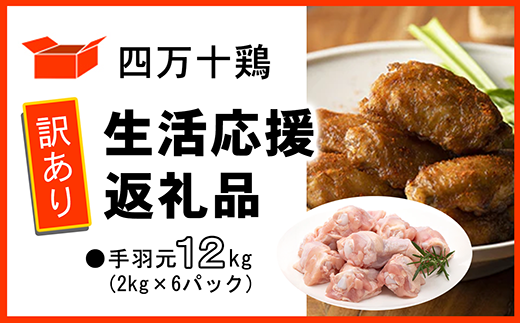 【訳あり】四万十鶏 手羽元 12kg（生活応援返礼品）