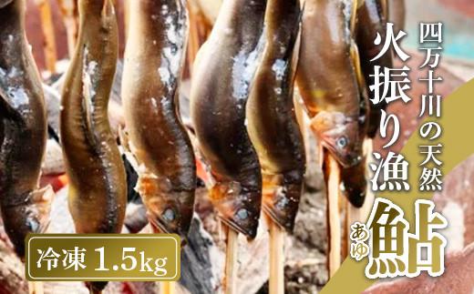 四万十川上流の天然鮎 新もの冷凍 火振り漁鮎 1.5kg ( 冷凍 5〜18尾 ) 鮎 あゆ アユ 川魚 高知県 四万十 天然 冷凍