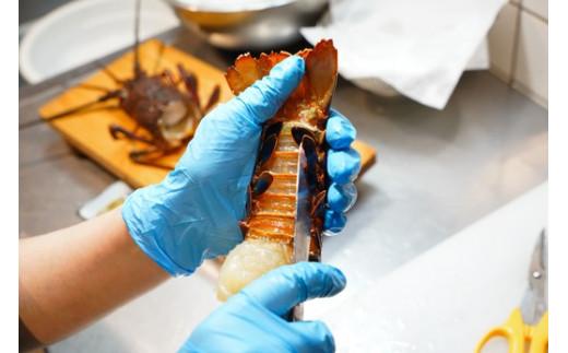 逕」蝨ー逶エ騾シシ懃函シ 莨雁兇豬キ閠 ( 繝ャ繧キ繝比サ倥″ ) 400g